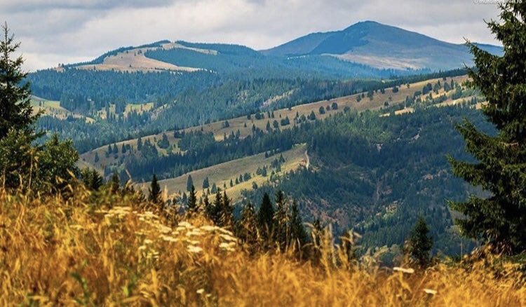 The road that unites <a href="/VTransilvanica/">Via Transilvanica</a> <a href="/mlehene/">Mihai Lehene</a>