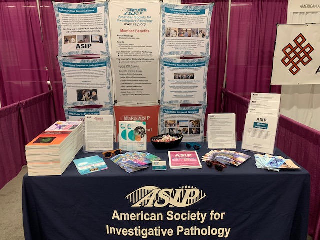 ASIPath's tweet photo. ASIP is proud to represent at #ABRCMS2019 in #California! Stop by booth 447 to learn how to build your national reputation. #MoreThanMembership #BuildingNationalReputations. Mention this post to Lisa for some great ASIP Schwag! https://t.co/8wnwowtEbv