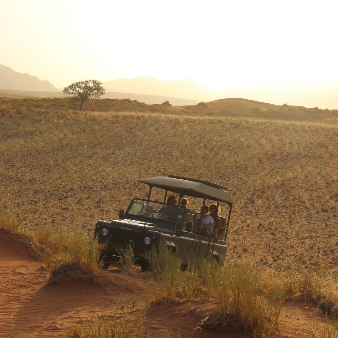 Almost any photo taken during the Golden Hour at Wolwedans captures the beauty of the moment and the place.

 #OutOfThisWorld #Wolwedans #NamibRand #Namib #NamibDesert #Namibia #Africa #travel #instatravel #traveller #traveler #travelinspo #lux #safari