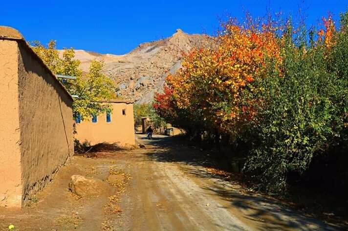 NilofarMoradi2's tweet photo. #خزان
#Daikundy https://t.co/KQpeIEL0oF