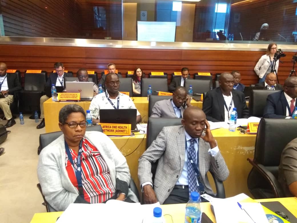 AfricaCDC's tweet photo. @AfricaCDC endorses a #OneHealth approach to address shared health threats at Human-Animal-Environmental interface for a safer &amp; healthier #Africa at day 2 of 1st Int'l #OneHealth forum with experts from @NCDCgov @PHE_uk  @nicd_sa @MiniofHealthUG. @Wande_A @laktarr001 https://t.co/PzCNaL6iWo