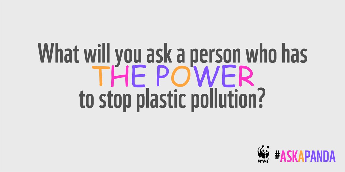 wwfsg's tweet photo. #PlasticPollution won’t solve itself unless we ask the right questions. What's yours? Tweet us your questions with #AskAPanda and we will answer the best ones LIVE from the @UN on 21 Nov. https://t.co/SgWeBVXzuv