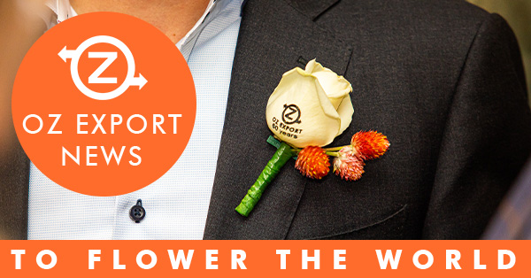 OZ Export tweet media