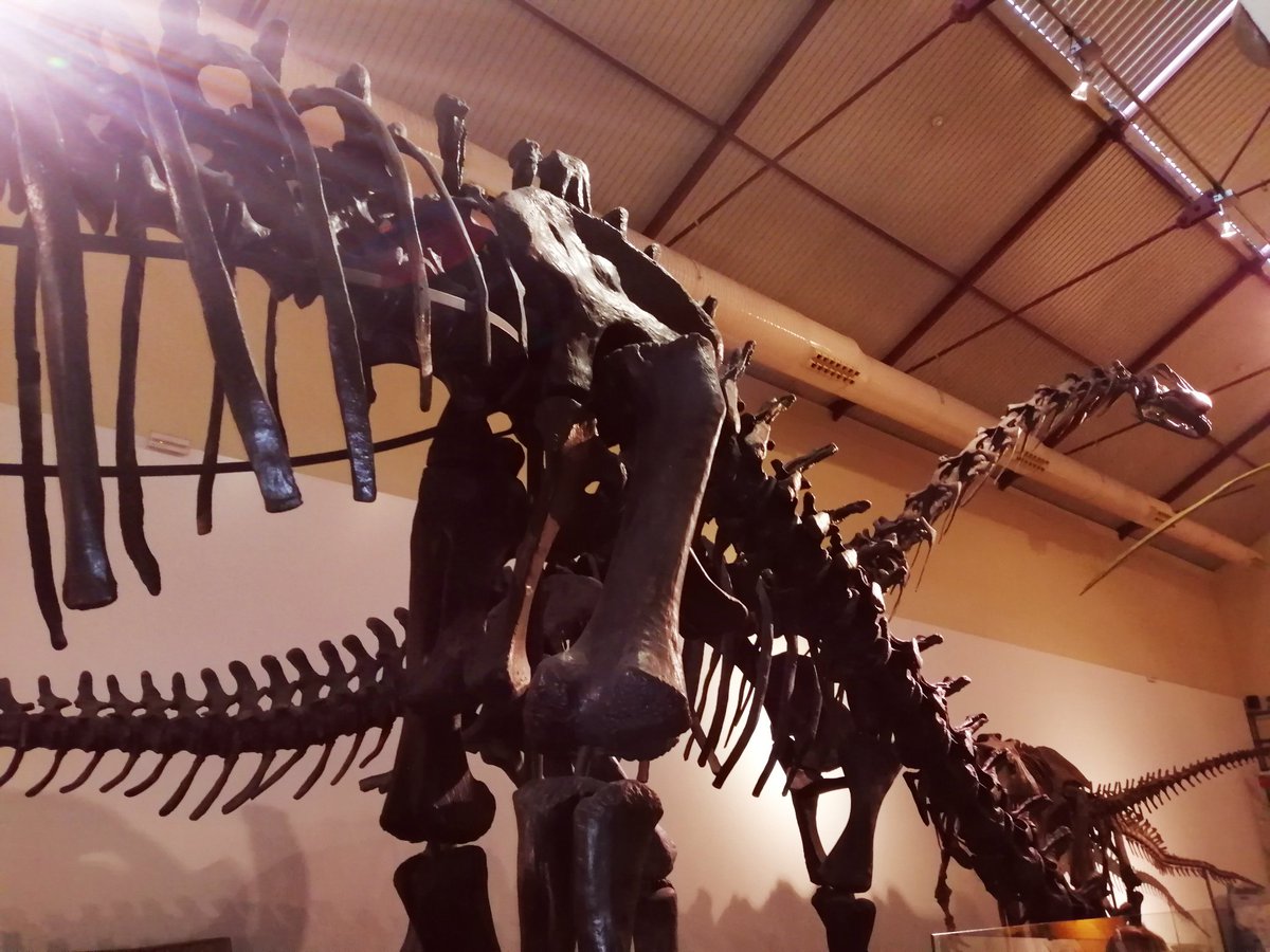 Acabando la semana en el Museo de Ciencias Naturales!! <a href="/HBSTORREJON/">Humanitas Torrejón</a>