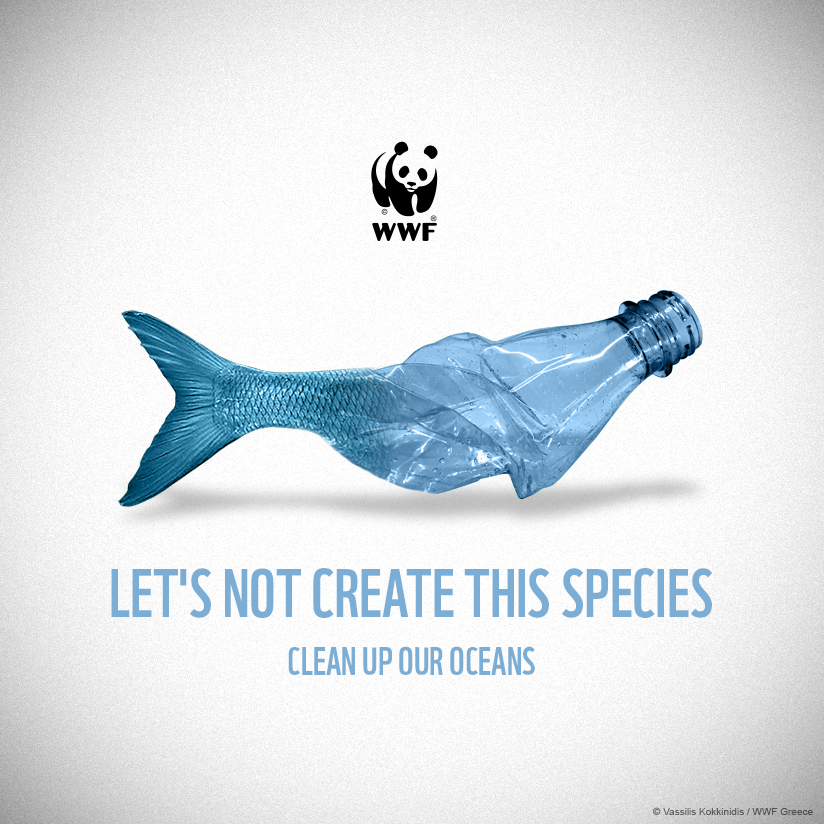 WWF_Kenya tweet picture