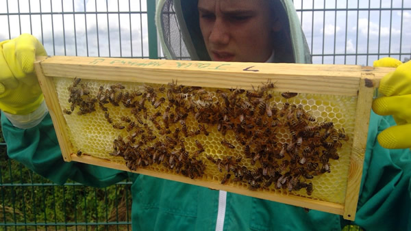 Teaching Scotland tweet media