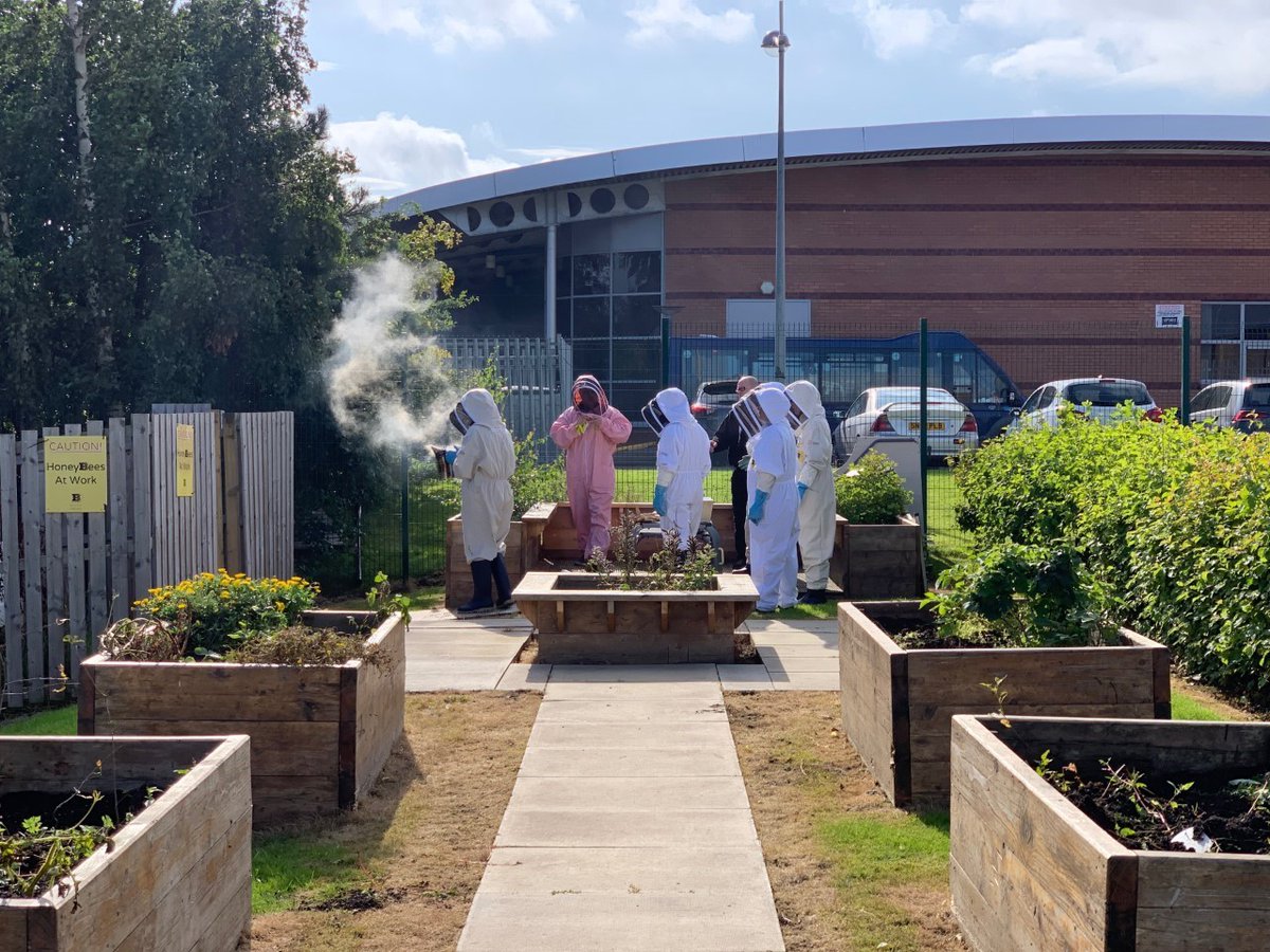 There's a buzz around Scotland's secondary schools as pupils are awarded with the new National Progression Award (NPA) Beekeeping SCQF level 5 qualification: ow.ly/NMDW50xbFDR