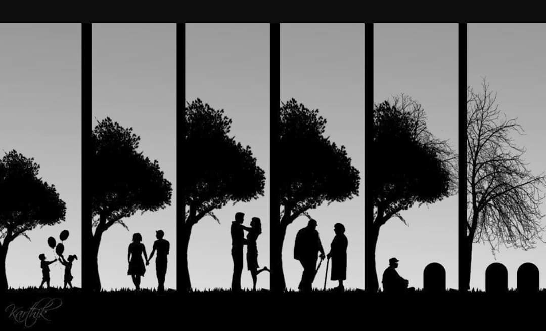 pinosysembrados's tweet photo. Con los árboles no sólo compartimos espacio: a veces, sin darnos cuenta, también compartimos historias.
¿Queréis comentar alguna que hayáis vivido vosotros mismos? https://t.co/lRHyzZPHYl