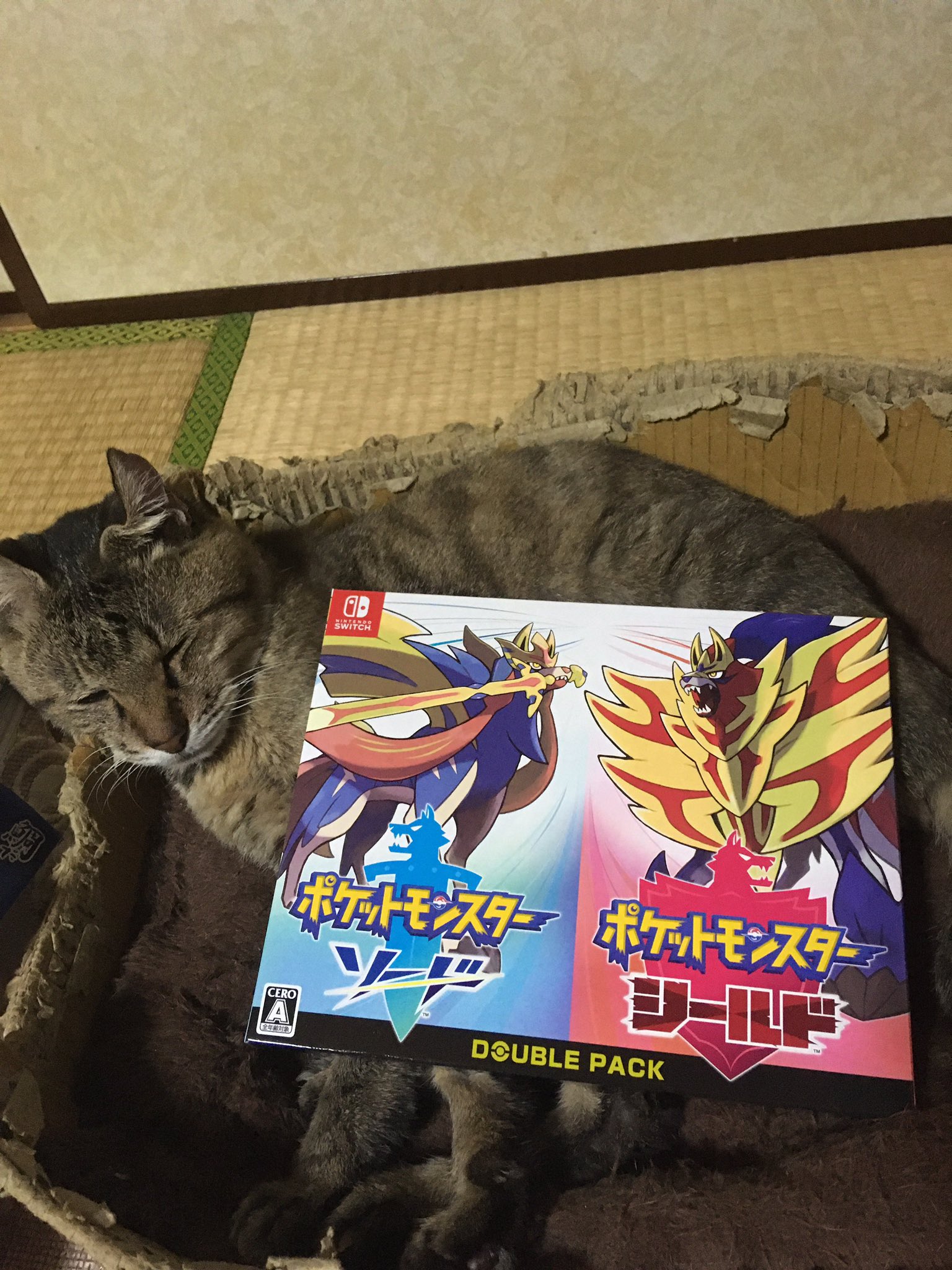 Dk ダイパリメイク国際孵化勢ヌケニン Dknightl Twitter