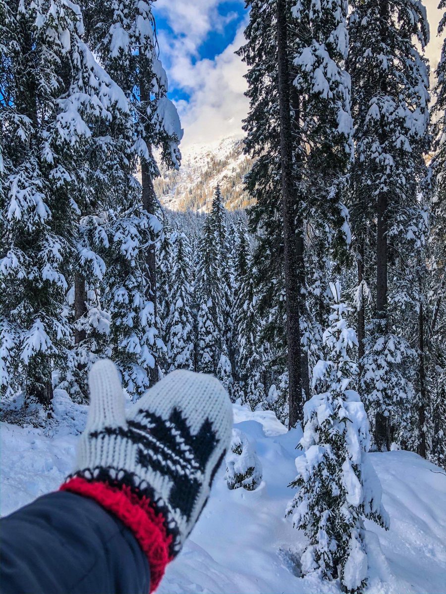 Oh yes!!! More than 50 cm are expected in #madonnadicampiglio today. Ready for thrilling skiing days for this weekend? Click here for lifts and slopes opening details: bit.ly/opening_skiarea