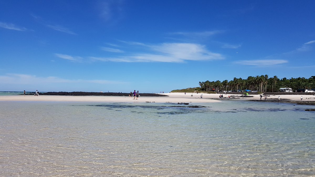 05April03's tweet photo. My sister went to the beach and sent me photos, it’s so beautiful. https://t.co/7wkMu5bh5J
