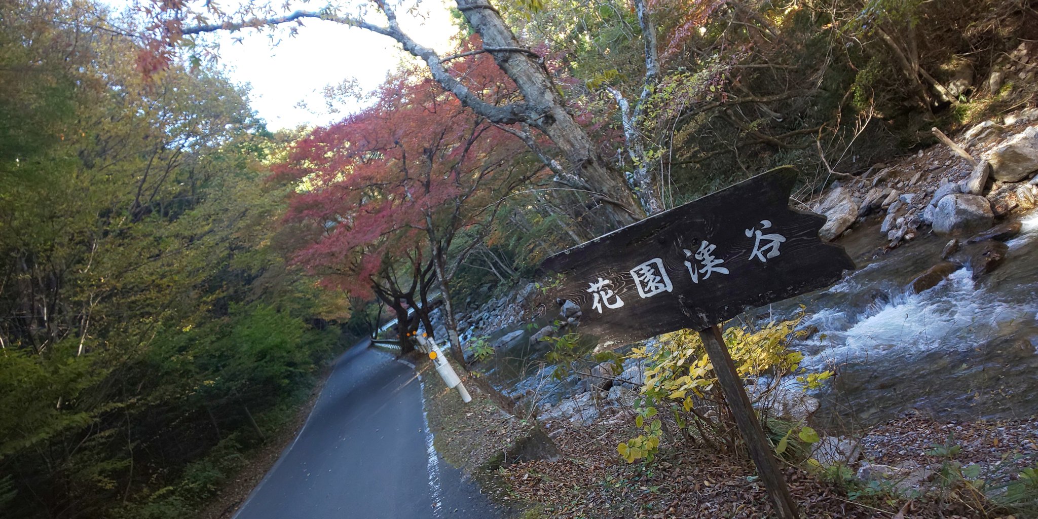 花園もーる Twitter Search Twitter