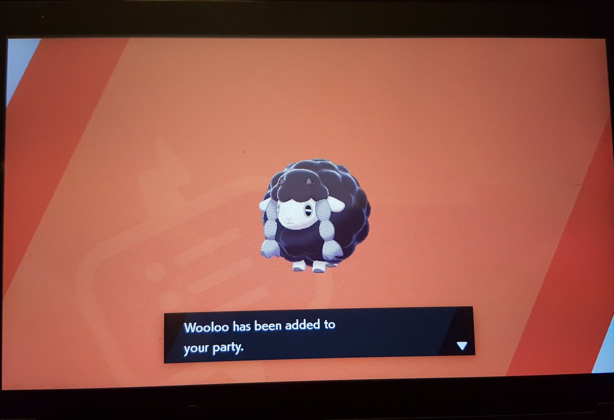 Merc249's tweet image. I will protect this Wooloo with my life. #PokemonSwordShield