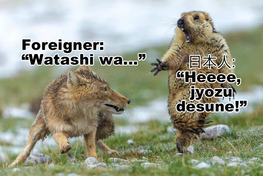 therisingwasabi's tweet photo. https://t.co/WGDAyf2D2B