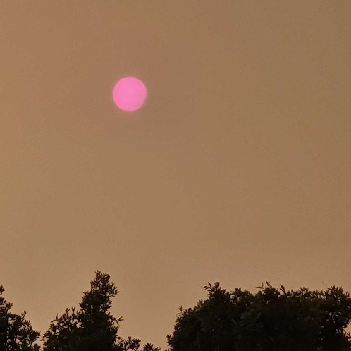 Triplespressod1's tweet image. #pinksun #coffsfires