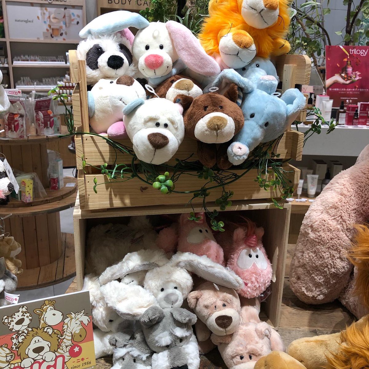 期間限定お見逃しなく！ShinQs ビューティー パレット 町田店 11/14-11