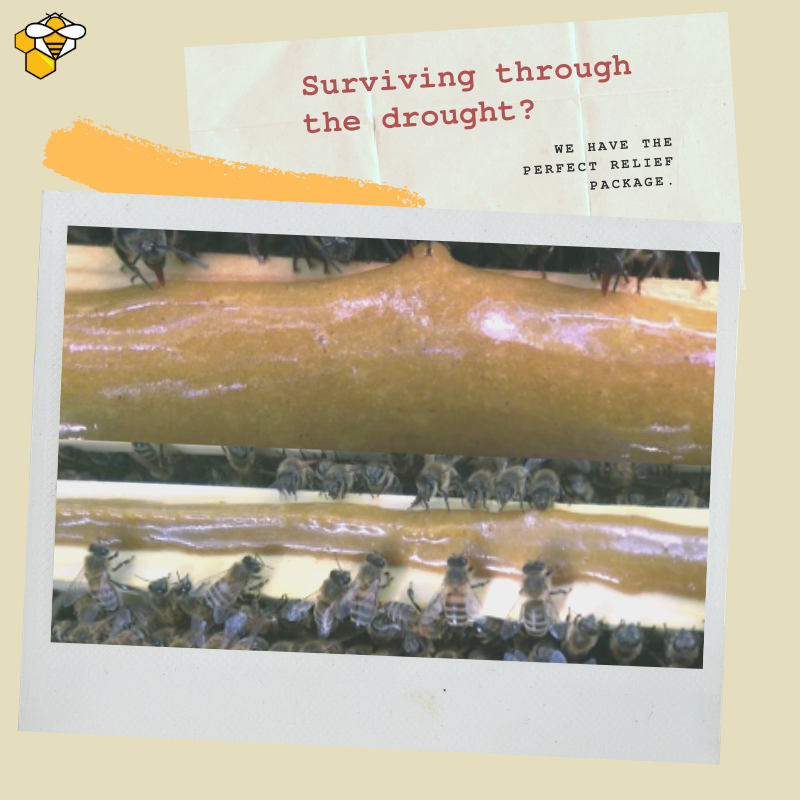 Bee2Bee Beekeeping Supplie @Bee2BeeAus - Twitter Profile | TwStalker
