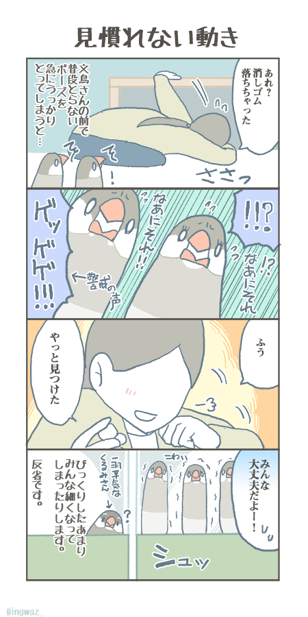 いつも気を付けているつもりなのですが、今も時々やってしまいます。

#buncho #javasparrow #文鳥 