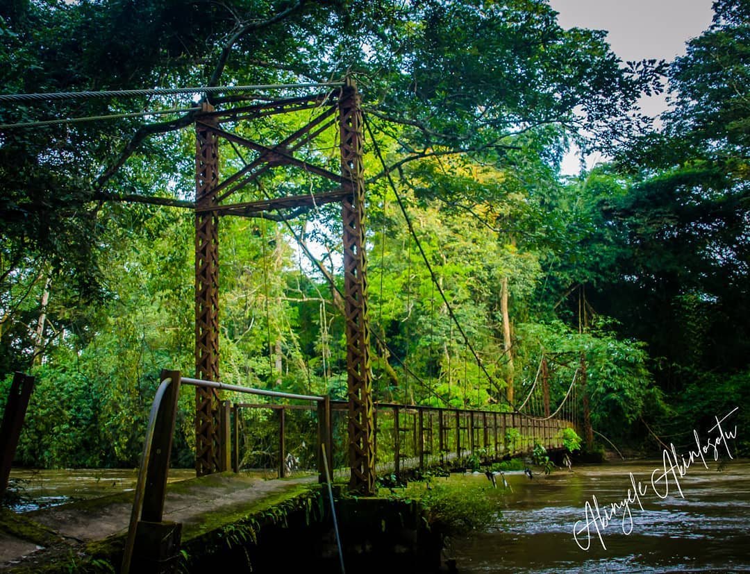 inside osun tweet media