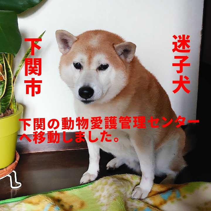 下関市動物愛護管理センター