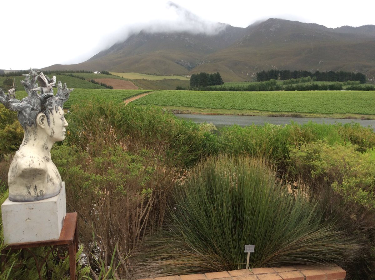 Creation vineyard, Walker valley...stunning! #hermanus #capewines