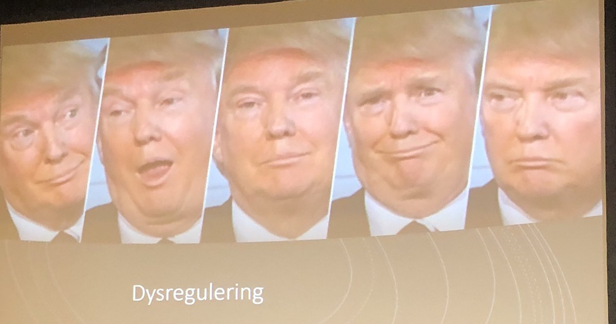 Planleggingsdag om regulering av åtferd