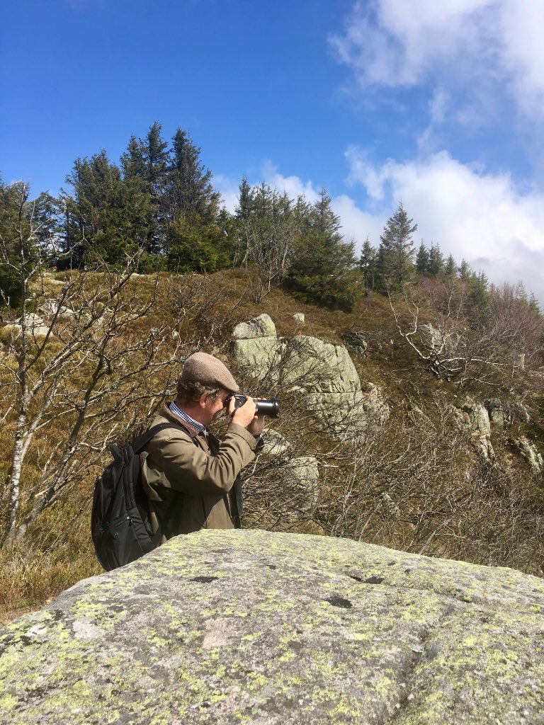 Le Festival des Possibles tweet media