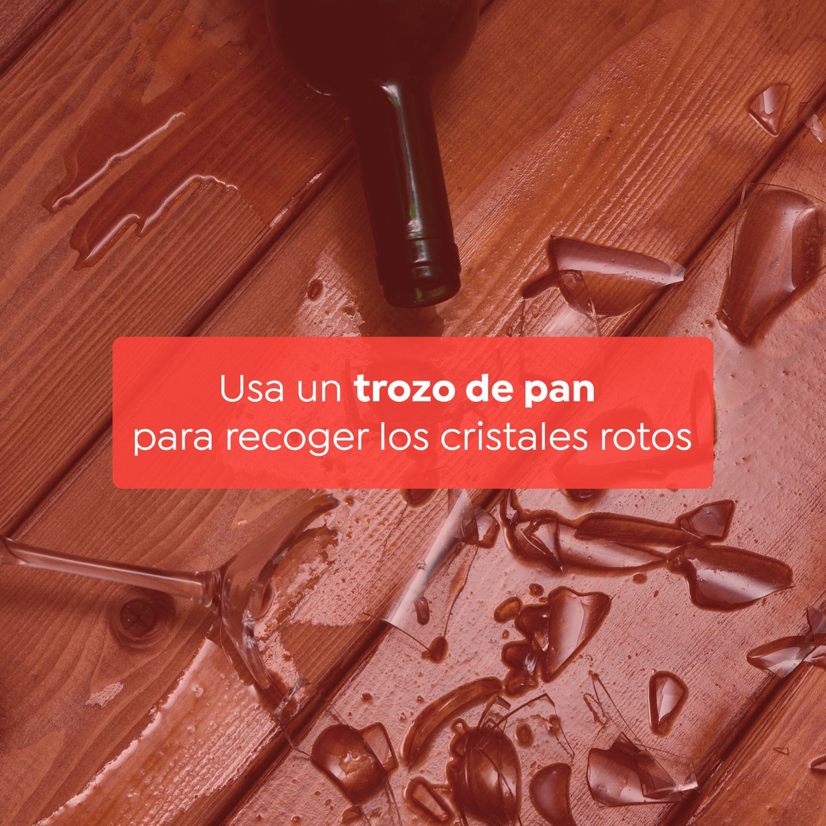 Cleanzyespana's tweet photo. Ese momento en el que se te rompe una copa en mil pedazos… Coge un trozo de pan y presiona sobre los cristales. ¡Se quedarán pegadosl! #cleanzy #cleanzytips #limpiezahogar https://t.co/Tzr6F71oyM