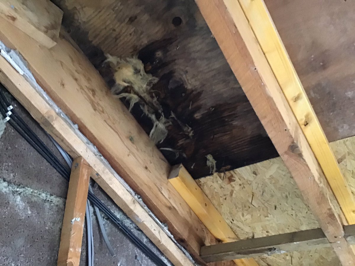 JoannaPhillimo1's tweet image. I would be so delighted to win the paintbrush set.  I had part of my living room ceiling removed due to a water leak.  Now it is all fixed, it needs painted and I will be looking all smart again!  #ProDecit