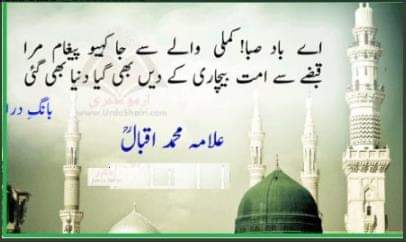 SyedaSaba12's tweet image. Islam is For all....
Islam is Clear Simple and a code of life to live a beautiful life..
ALLAH HAS GIVEN US ONE NAME I.E MUSLIM ;Sect free and uniform religion deen e kamil which offers perfect teachings.
One Allah 💚
One Prophet PBUH 💚
One Quran 💚
#IslamIsLogic #سوچ_کا_سفر