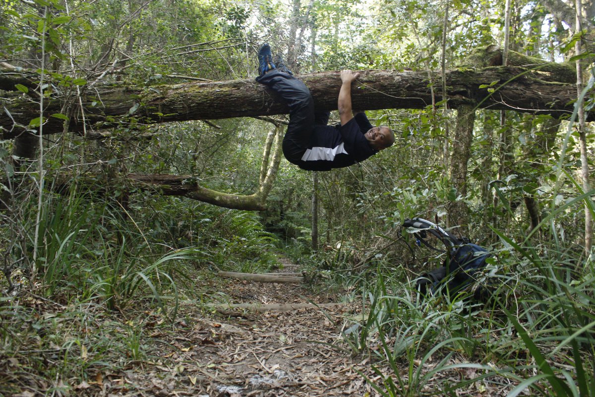 Garden Route National Park (@gardenroute_np) on Twitter photo All the GRNP hiking trails are now open after 152mm of rain <a href="/SANParks/">SANParks</a> <a href="/SANParksHR/">SANParks HR's</a> <a href="/outdoorsouth/">Outdoor South Africa</a> <a href="/ShotLeft/">Sho't Left</a> <a href="/TravelChatSA/">#TravelChatSA #VirtualTravelSA</a> <a href="/hikingsa/">Hiking South Africa</a> <a href="/NatGeoTravel/">Nat Geo Travel</a> #LiveYourWild #fridaymood All the GRNP hiking trails are now open after 152mm of rain <a href="/SANParks/">SANParks</a> <a href="/SANParksHR/">SANParks HR's</a> <a href="/outdoorsouth/">Outdoor South Africa</a> <a href="/ShotLeft/">Sho't Left</a> <a href="/TravelChatSA/">#TravelChatSA #VirtualTravelSA</a> <a href="/hikingsa/">Hiking South Africa</a> <a href="/NatGeoTravel/">Nat Geo Travel</a> #LiveYourWild #fridaymood