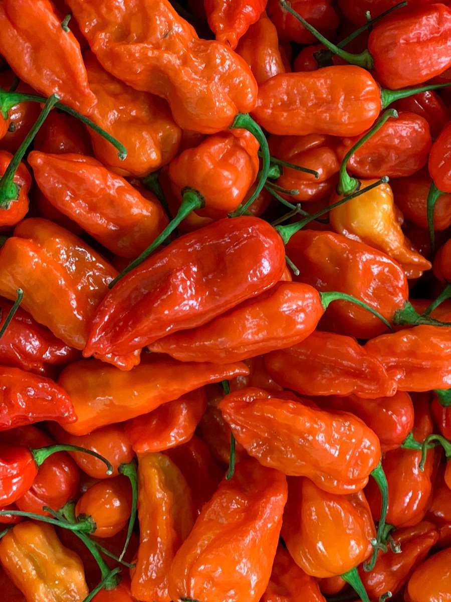 Fresh #naga Chilli in this morning - we have a fantastic selection of hot chillies available daily
