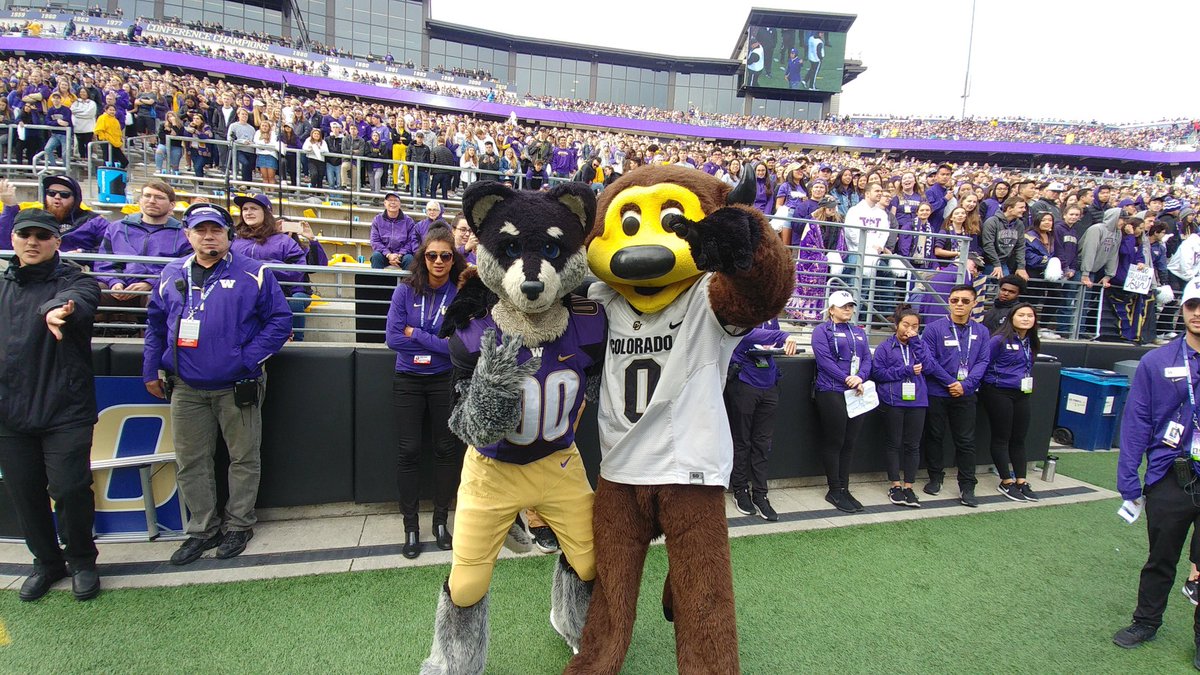 HarryTheHusky's tweet image. C U soon @Chipthebuffalo 😈☔️
#WOOF #PurpleFriday