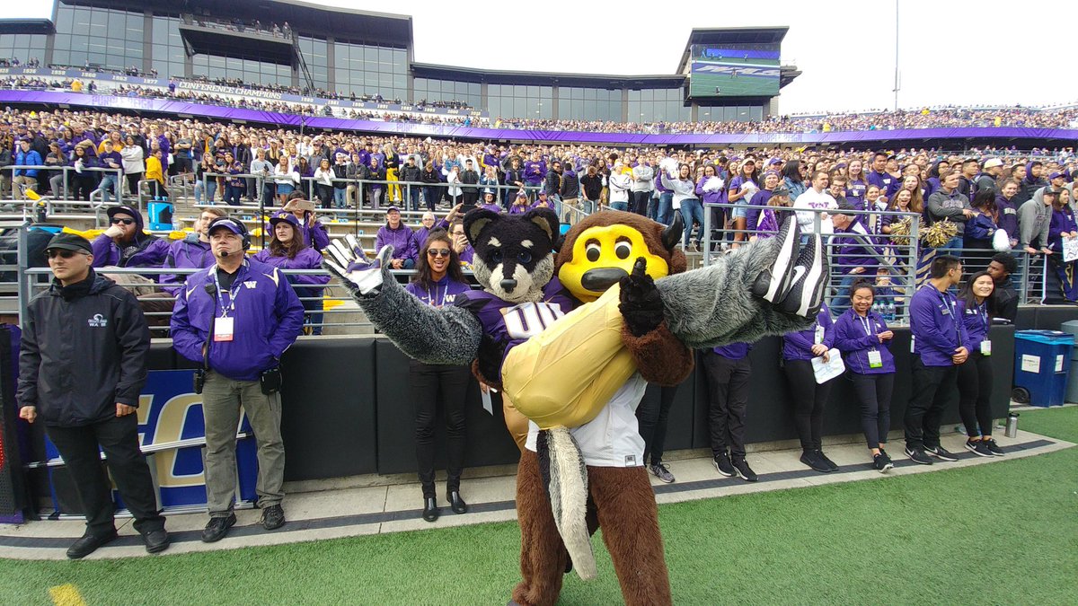 HarryTheHusky's tweet image. C U soon @Chipthebuffalo 😈☔️
#WOOF #PurpleFriday