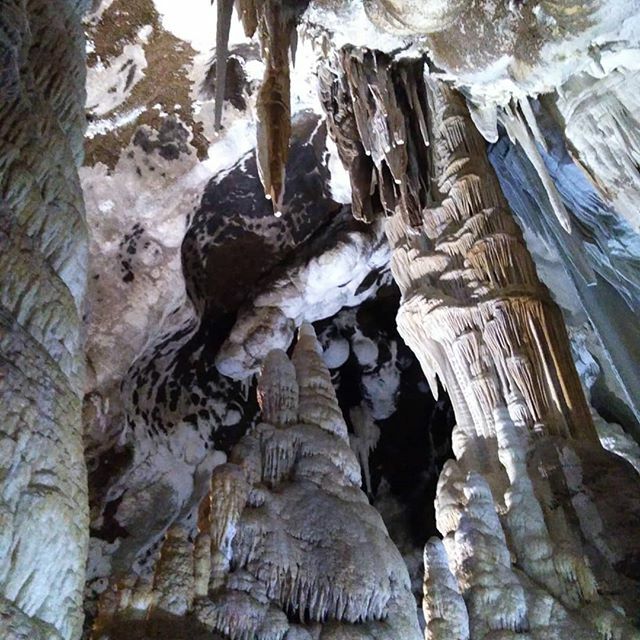 franciemme's tweet photo. Una meraviglia della natura ��️
#grottasantabarbara #iglesias #sardegna #italia #miniera #stalattiti #barite #grotta #sardinia #italy #mine #stalactites #cave #sosbattormorossardegna #lauralaccabadora #unionesarda #lanuovasardegna #yallerssardegna #sardiniaexperience #cerdeña… https://t.co/49NSIhw9vG