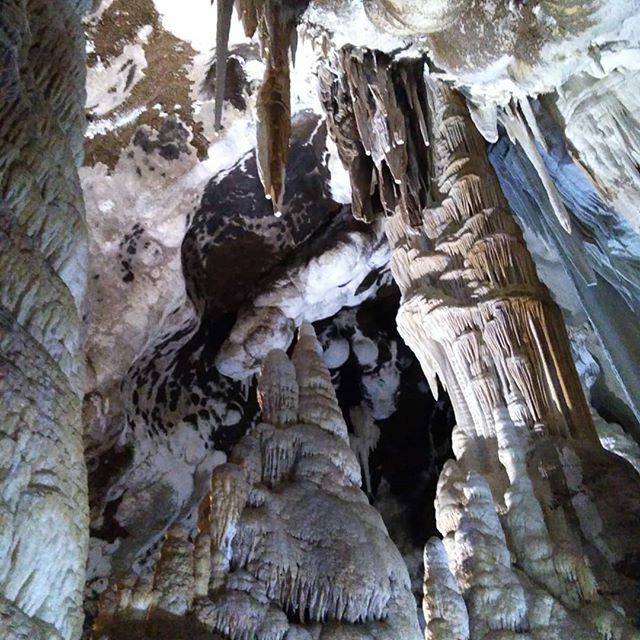 Una meraviglia della natura ❤️
#grottasantabarbara #iglesias #sardegna #italia #miniera #stalattiti #barite #grotta #sardinia #italy #mine #stalactites #cave #sosbattormorossardegna #lauralaccabadora #unionesarda #lanuovasardegna #yallerssardegna #sardiniaexperience #cerdeña…