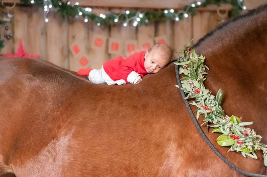 PerformanceVF's tweet image. Our youngest rider is just a few weeks old! Following in the footsteps of mom and big sister. 

Picture by Brittany Frias Photography

#horsegirls #familyphotography
#christmasphotoshoot #brittfriasphotography