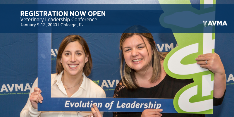 AVMAmeets's tweet photo. #AVMAWellbeing was a huge hit, and we already can't wait to see you at our next event! #AVMAVLC - the veterinary profession's premier conference for leadership development - is less than 2️⃣ months away. Link to register 👇https://t.co/gKrNWDMgom https://t.co/FWJmzx5eJh