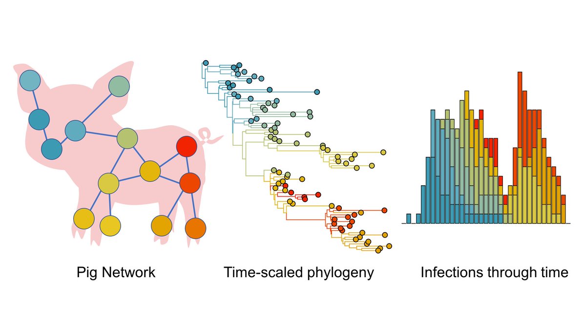 Sam Lycett (@hxnx_sam) on Twitter photo Come work on a great project based at Roslin with me - Postdoctoral researcher in phylodynamic modelling of livestock infection wanted for joint University of Edinburgh and Minnesota project. Apply 28Nov ! ed.ac.uk/roslin/work-st… #phylodynamics #postdoc <a href="/RowlandKao/">Rowland Raymond Kao</a> <a href="/k_vanderwaal/">Kim VanderWaal, PhD</a> Come work on a great project based at Roslin with me - Postdoctoral researcher in phylodynamic modelling of livestock infection wanted for joint University of Edinburgh and Minnesota project. Apply 28Nov ! ed.ac.uk/roslin/work-st… #phylodynamics #postdoc <a href="/RowlandKao/">Rowland Raymond Kao</a> <a href="/k_vanderwaal/">Kim VanderWaal, PhD</a>