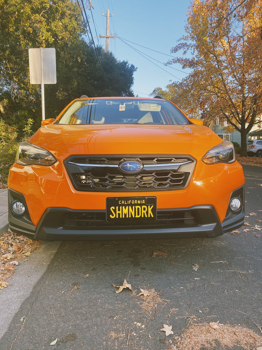 Photos this week 11/22