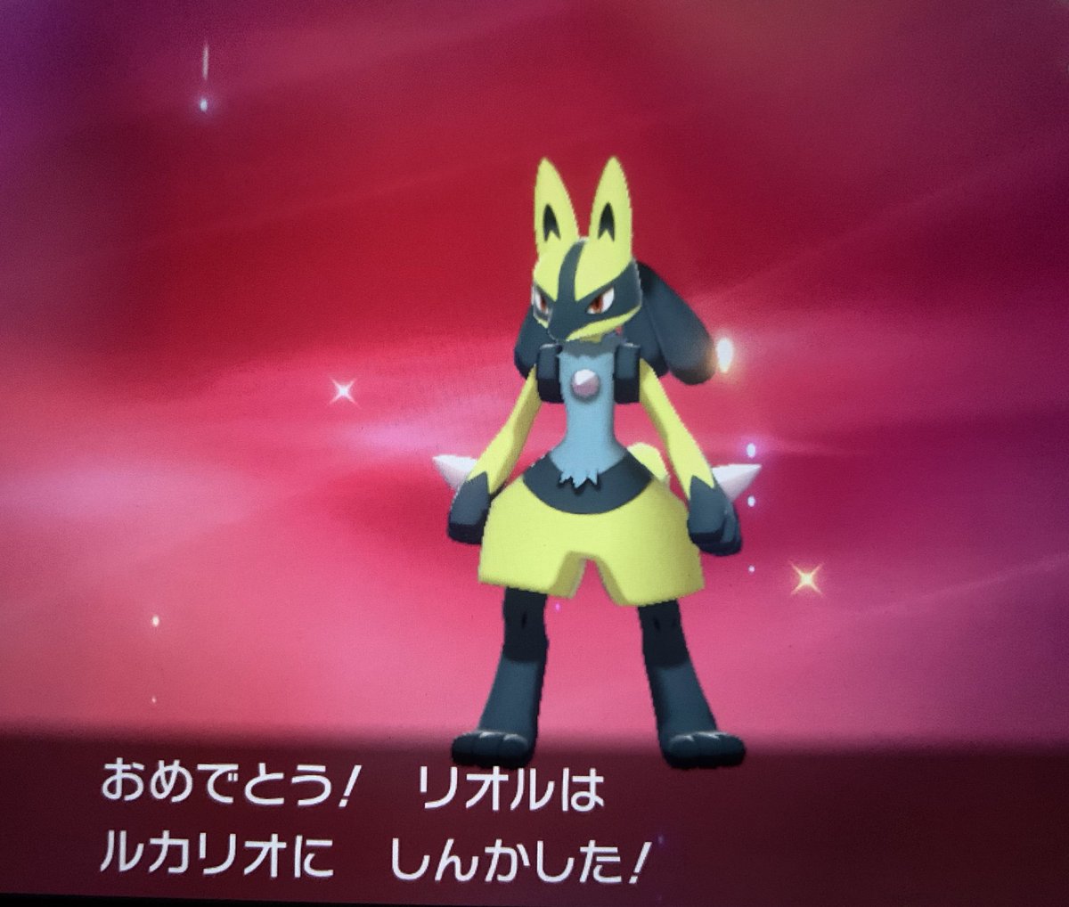 🤟ポケモン剣盾 ルカリオ 育成