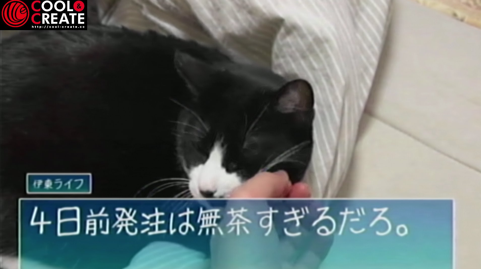 ビートまりお 4日前発注で完璧な動画を送ってきてくれた伊東ライフ先生 11月22日 ライブ 披露宴あまねりおをみんなで観る放送 いい夫婦の日 T Co Dfz0zwrx1j Youtubeより 披露宴あまねりお