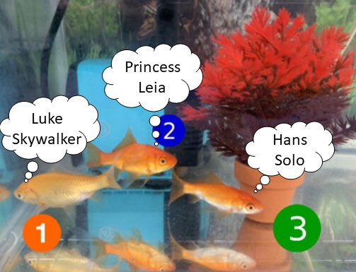 QG_Science's tweet photo. There has been a disturbance in the force, our fish have been named! #QGScience https://t.co/hdq22ccITe