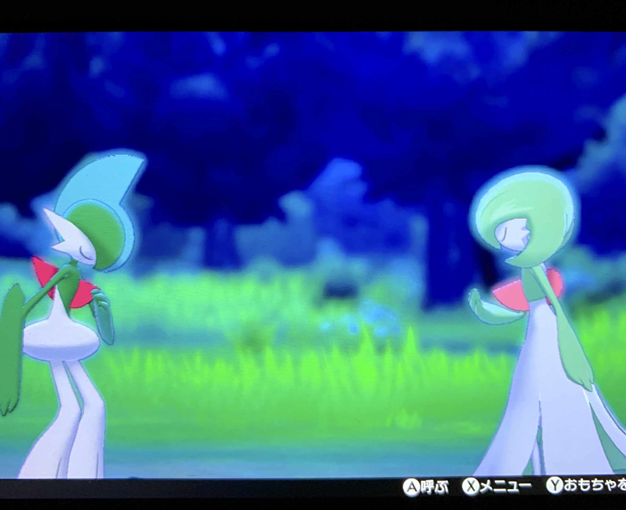 キサラ ありがとうポケモンキャンプ エルサナ最高 ベストフレンドっていうか夫婦 ベストカップル T Co Sl19o5wz9q Twitter