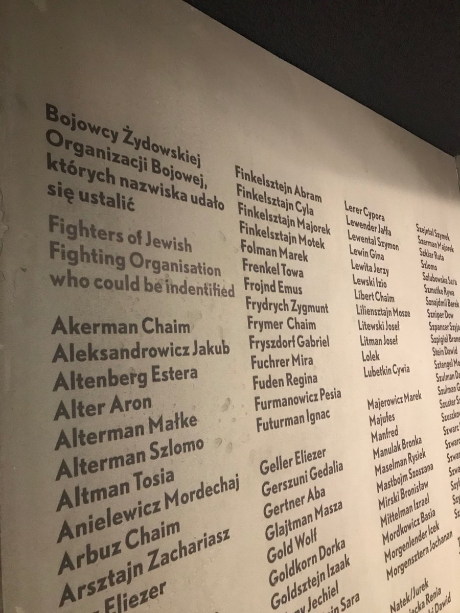 Close up of list of names of the Jewish Combat (or Fighting) Organisation ŻOB fighters. 12/x