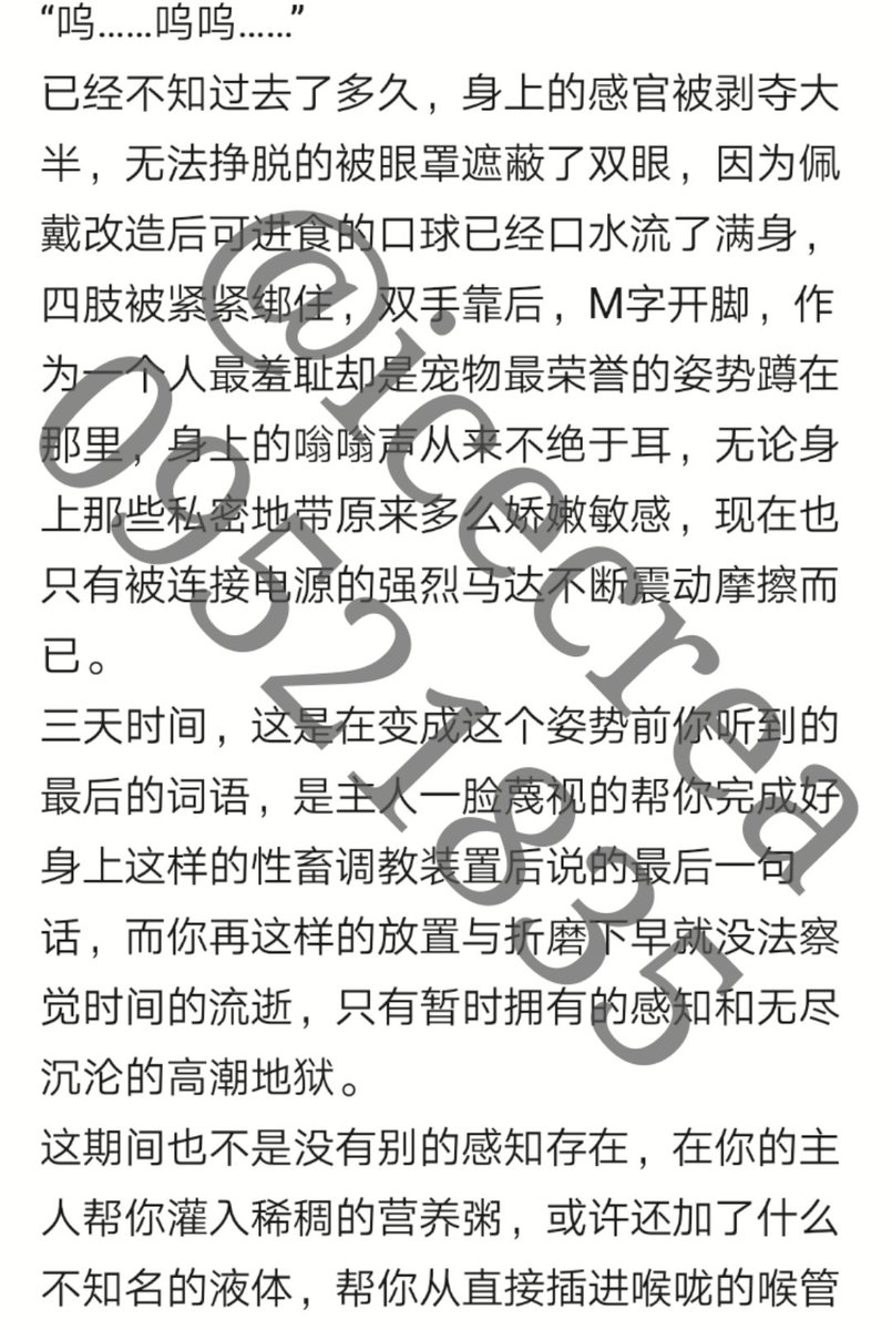 放置play Twitter Search