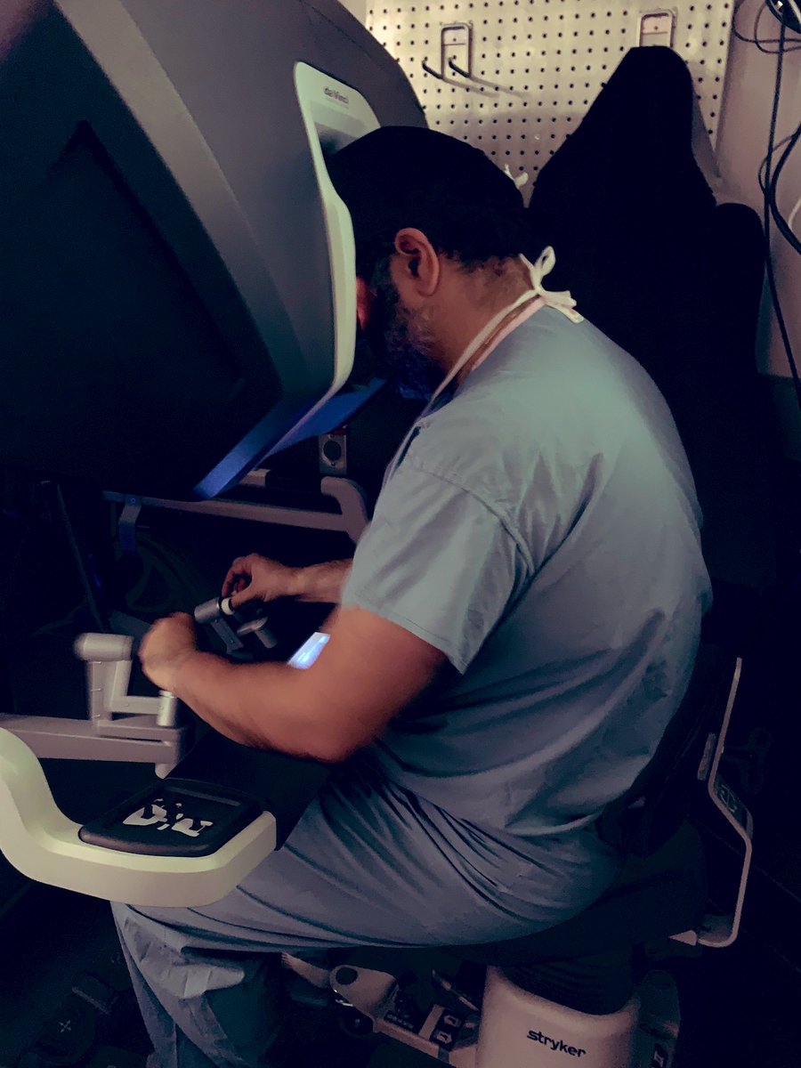 Ava Saidian tweet media