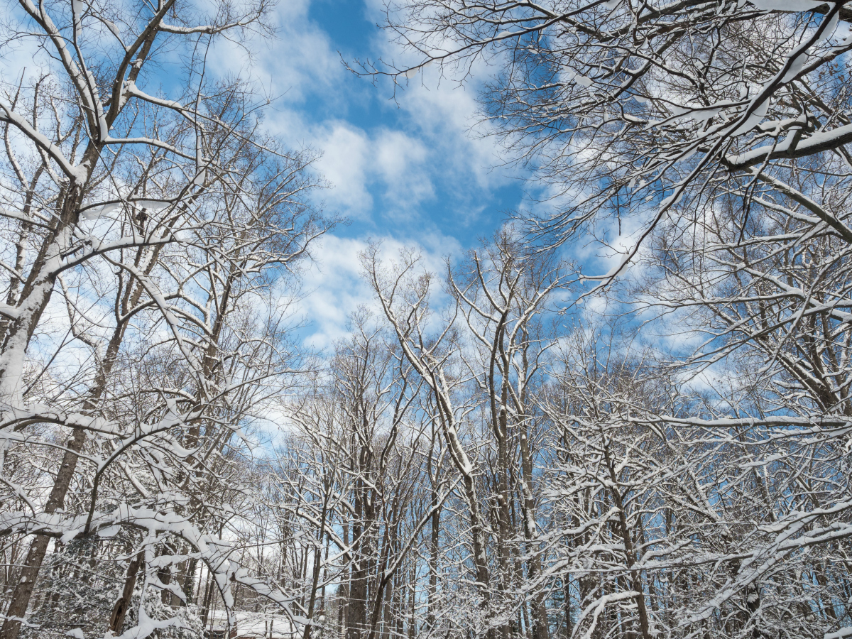 Winter is the perfect time to ponder, wonder, and learn.

Register now for a class or program at our nature centers and historic sites.

Get started with the Winter Guide then sign up: ow.ly/RDTc30pNReT.