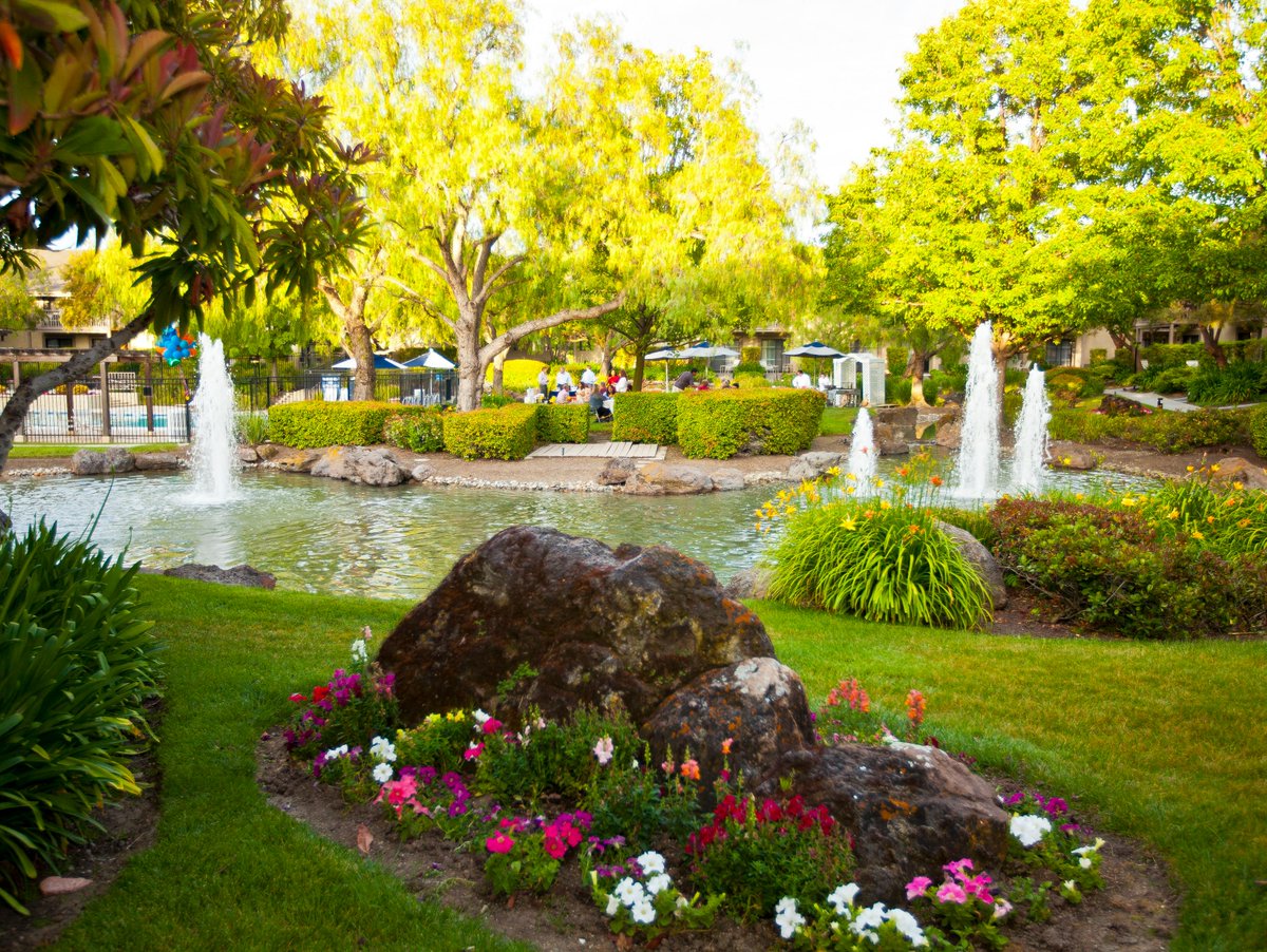 faz_pleasanton's tweet image. Take a moment to marvel over the garden view, as we enjoy the alfresco season.🍃🌳  

#fazpleasanton #fazrestaurant #fazcatering #pleasantoneats #california #CA #garden