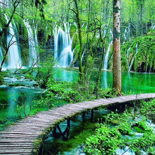 #travelpics #travelling #travel #travelwithme #wanderlust #wanderlustleague  #nature #adventure #explore #bucketlist #Croatia #PlitviceLakesNationalPark #sun #fun                                                flightscompare.co